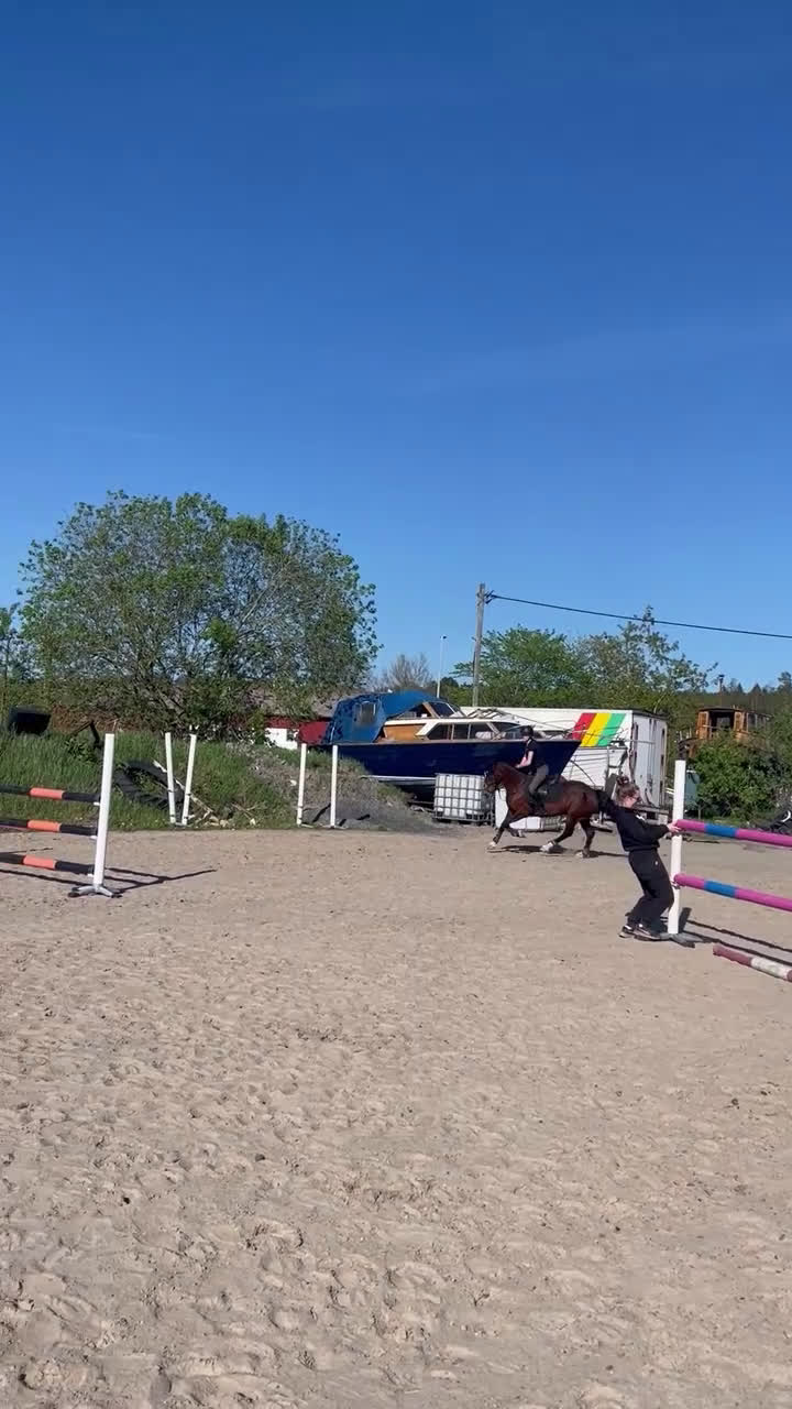 Hoppning hästar till salu: Mångsidig ponny med utstrålning!🌟 i Jörlanda - Video 3