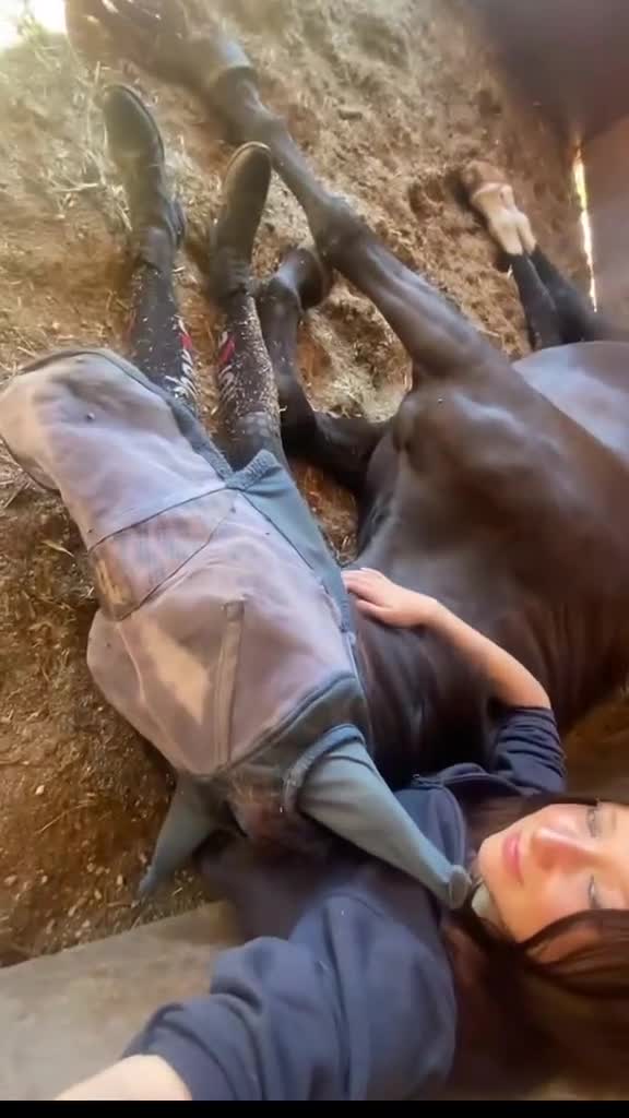 Övrigt hästar till salu: Vackert frederiksborgersto. - Video 1