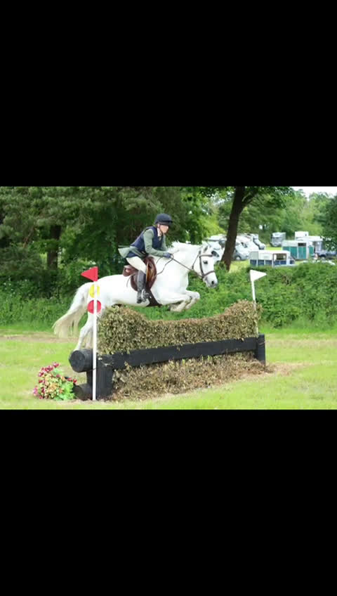 Fälttävlan hästar till salu: Searching for an Event Pony? i Brøndby - Video 2