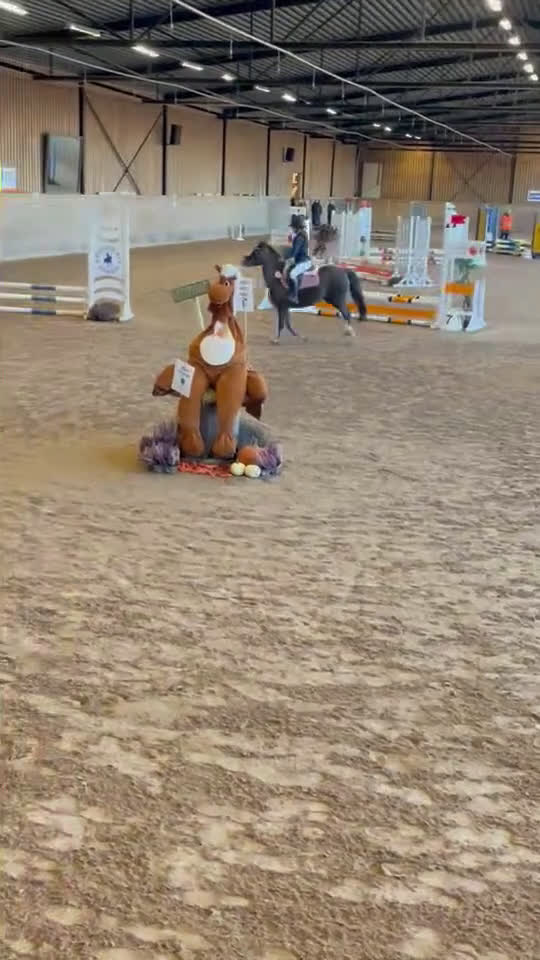 Hoppning hästar till salu: B-ponny med potential! i Sölvesborg - Video 1