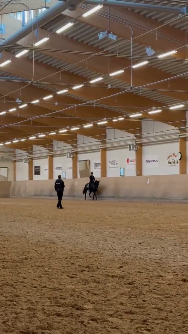 Dressyr hästar till salu: Vackert sto med stor utstrålning och potential - Video 1