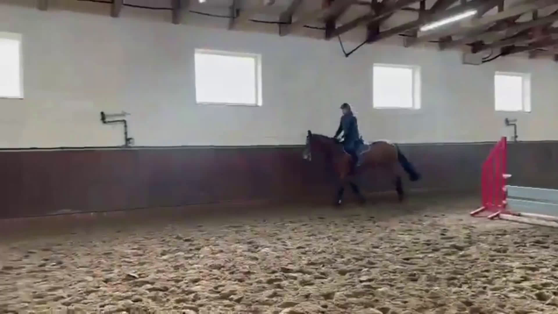 Hoppning hästar till salu: Trevlig 4åring i Åtvidaberg - Video 2