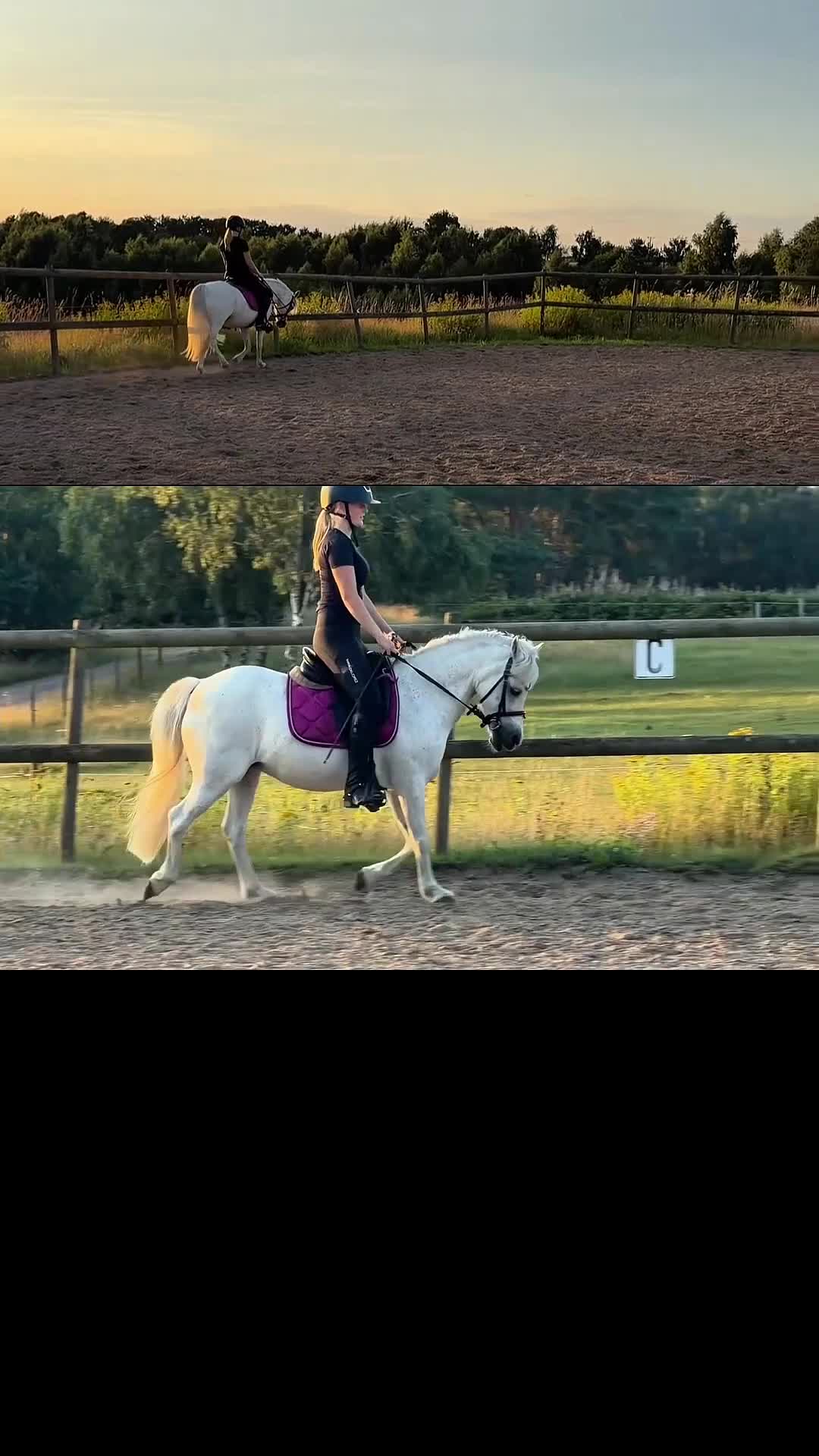Allround hästar till salu: Världens finaste B-ponny söker sitt nästa hem ❤️ i Klippan - Video 1
