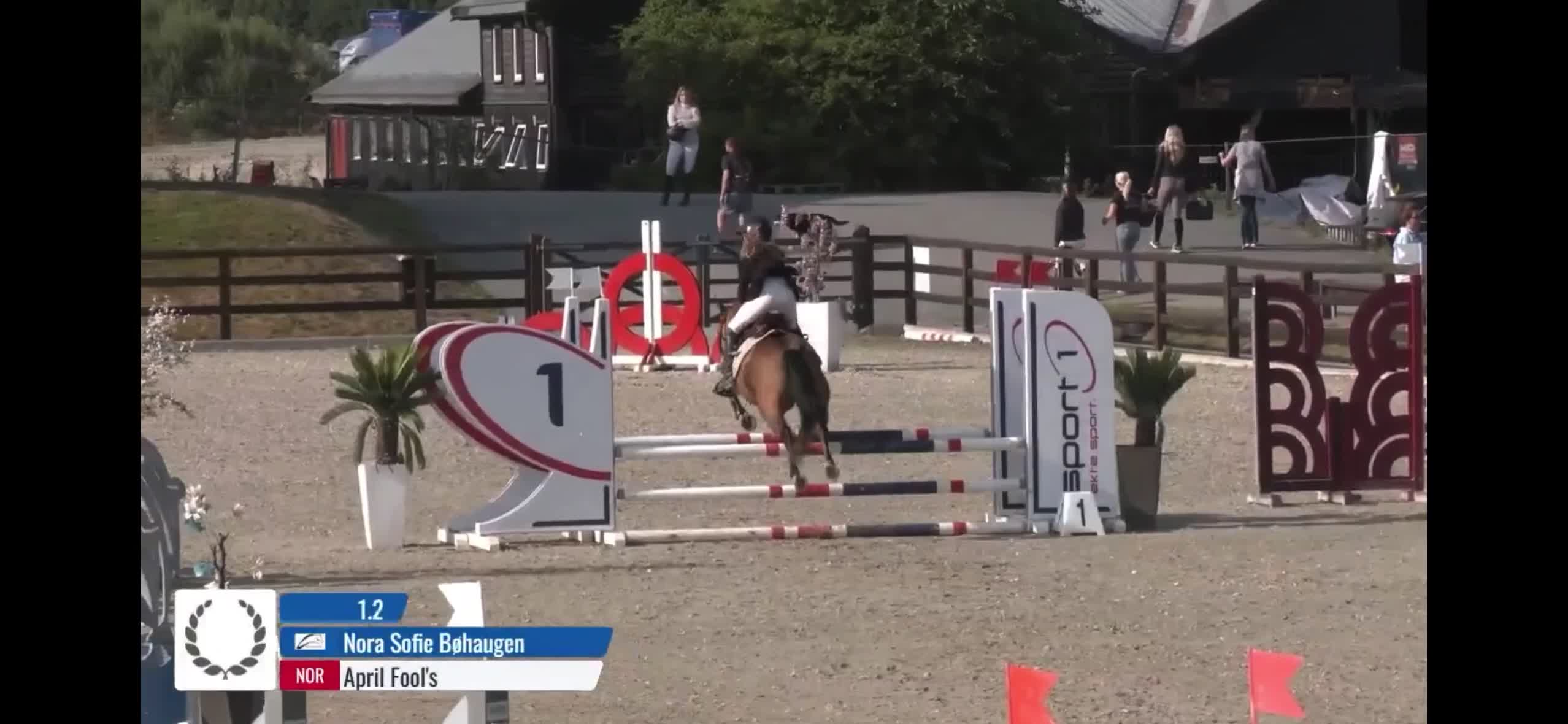 Hoppning hästar till salu: Super kat 3/B ponni til salgs🌟 i Torp - Video 1