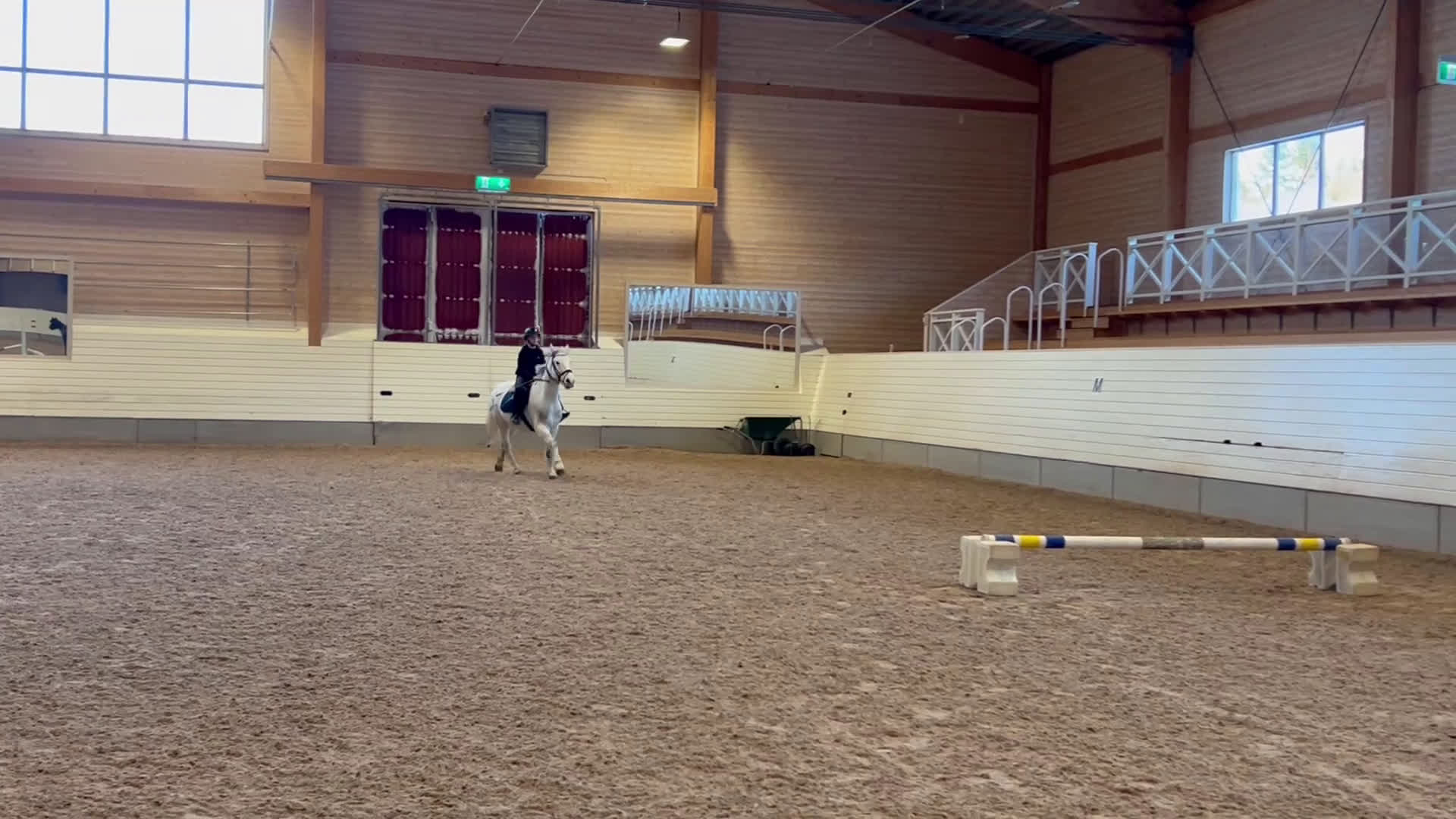  foderhäst sökes: Foderponny sökes - Video 1