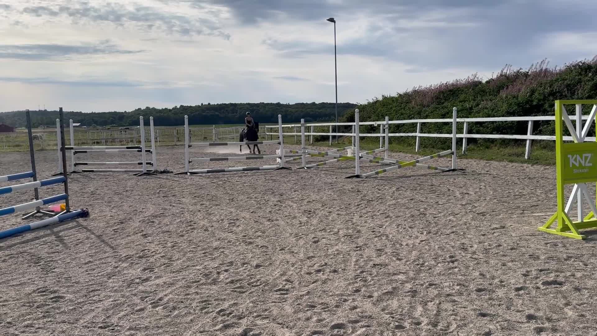 Hoppning hästar till salu: Ungponny med Kapacitet  - Video 2