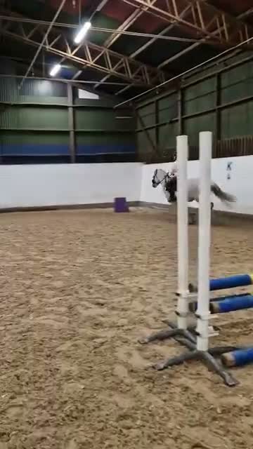 Allround hästar till salu: Ponny, visst projekt - Video 3