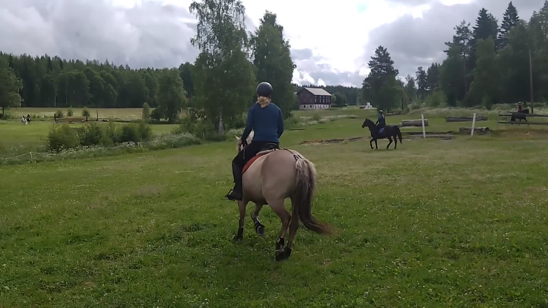 Allround hästar till salu: Rolig allroundponny i Delsbo - Video 4