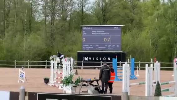 Hoppning hästar till salu: Fantastisk maxad D ponny - Video 1