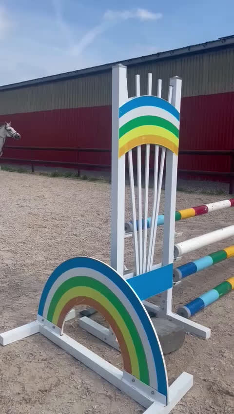 Övrigt hästar till salu: Fint Zangersheide sto i Vadstena - Video 5