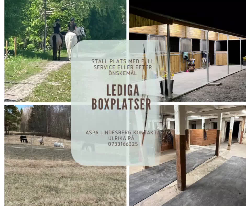  hästservice finnes: Stall Lindesberg  i Lindesberg - Video 1
