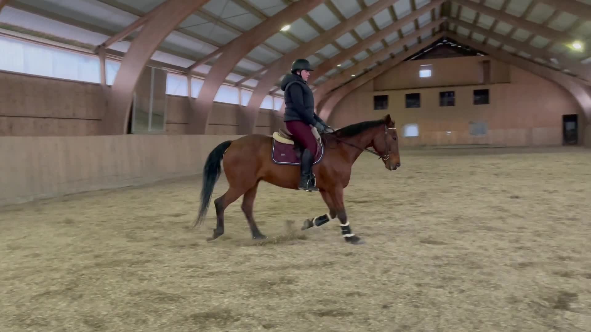  medryttarhäst finnes: Medryttare sökes till Woody - Video 3