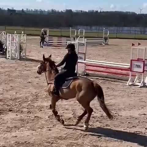  hästservice finnes: inridning & utbildning i Simlångsdalen - Video 1