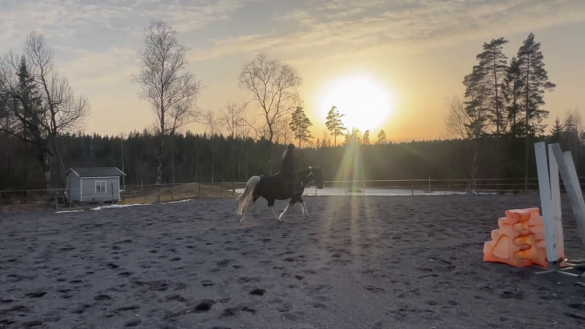 Allround hästar till salu: Familj/verksamhetshäst - Video 3