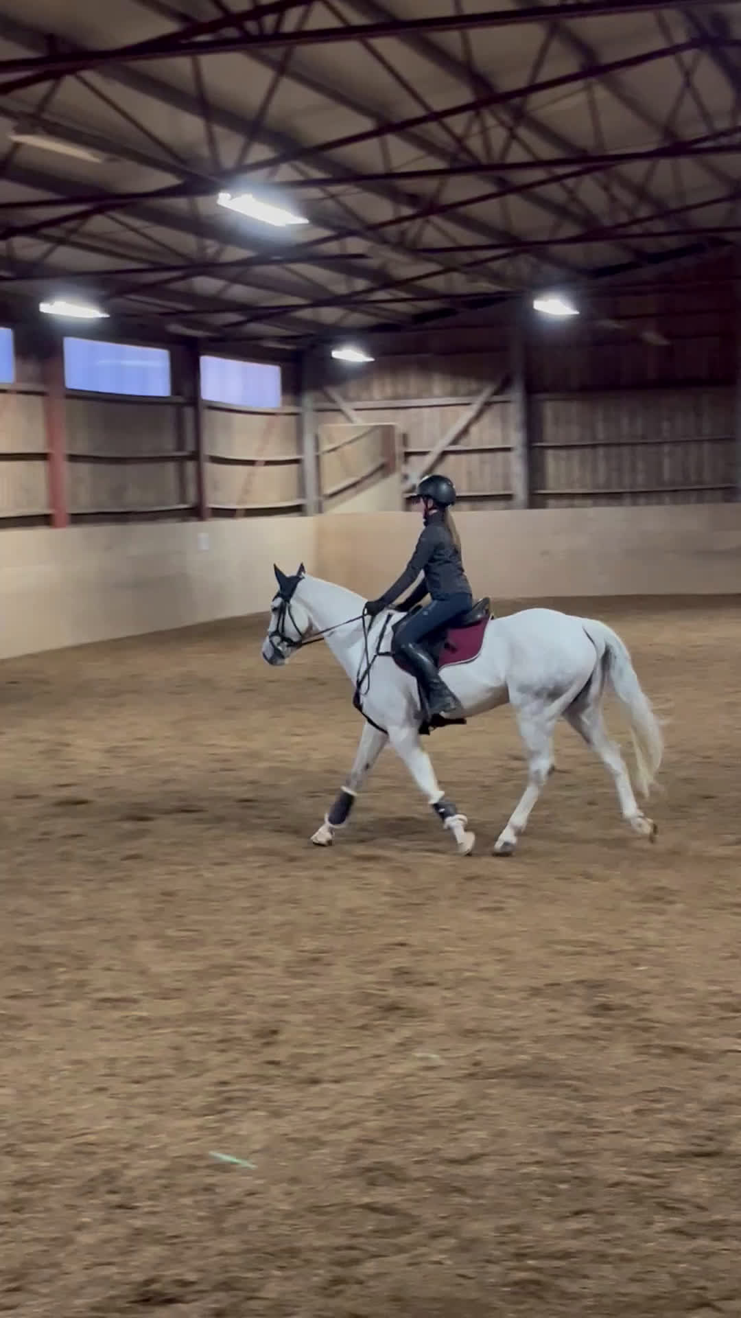 Allround hästar till salu: D ponny sto med stor potential💫 i Vedum - Video 2