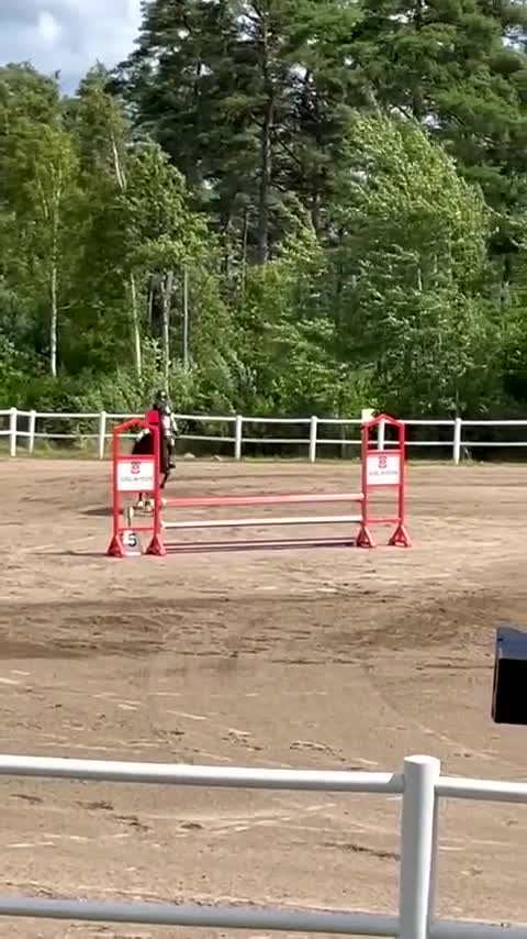 Allround hästar till salu: Tävlingsponny! - Video 1