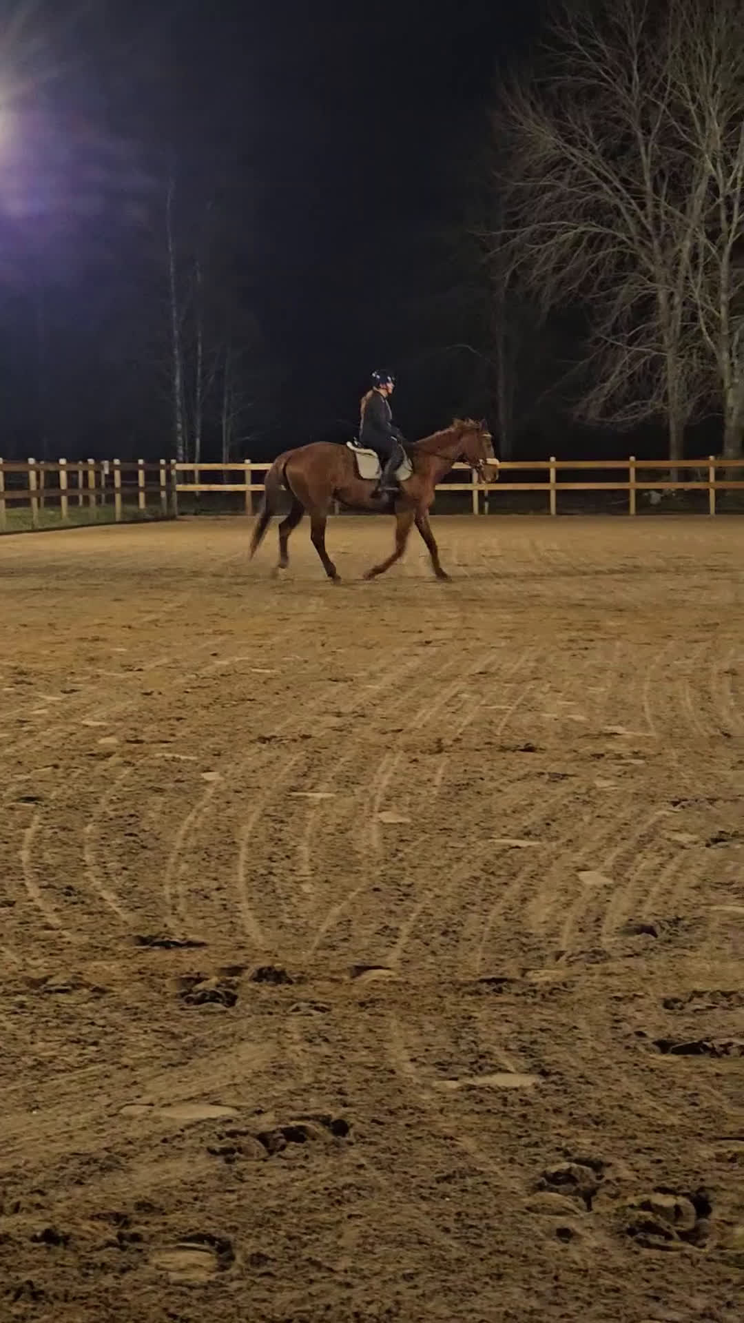 Allround hästar till salu: Trevligt fux fullblod  - Video 2