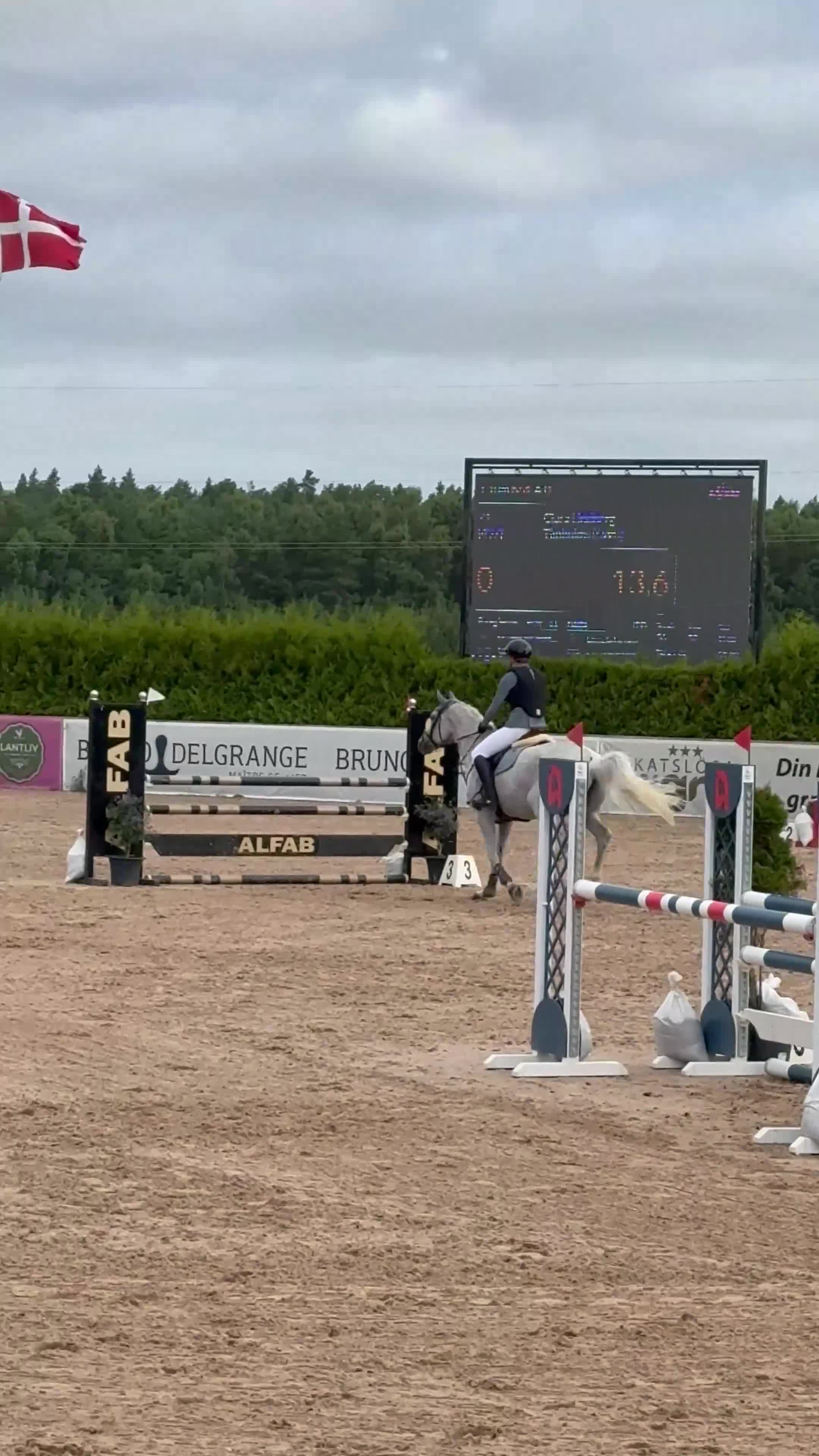Hoppning hästar till salu: Personlig hopphäst i Höllviken - Video 1