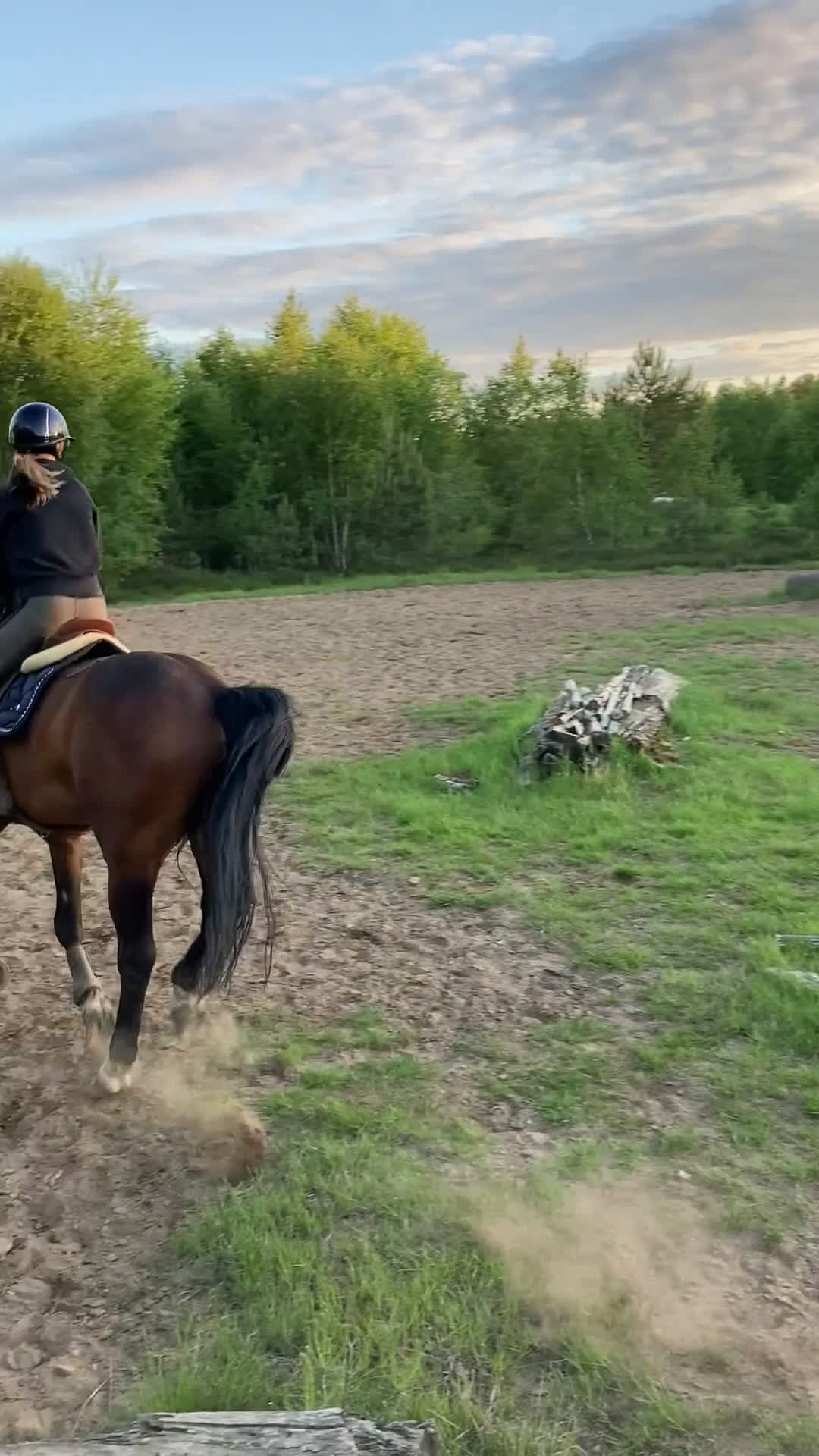  stallplats finnes: Stallplats på stall Toveryd i Jönköping - Video 4