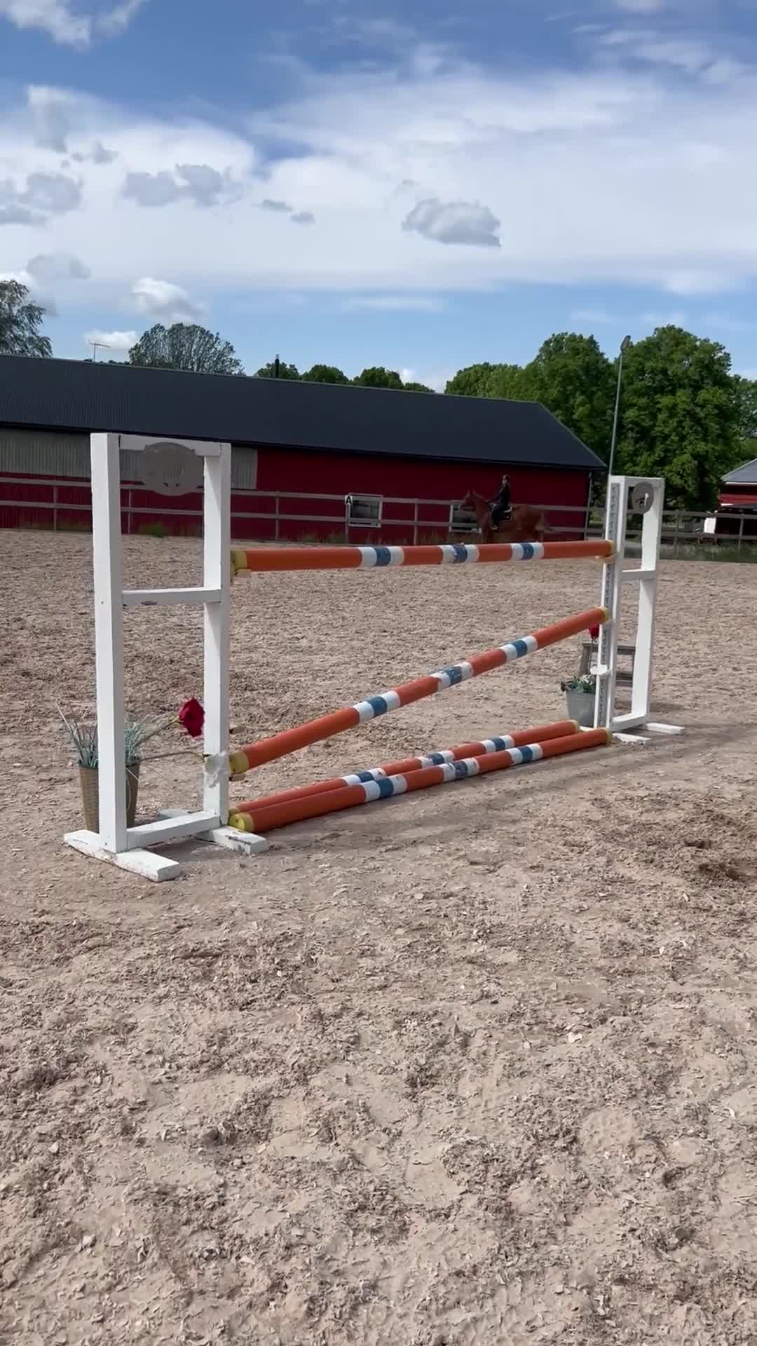 Övrigt hästar till salu: Rehab, läromästare  - Video 1