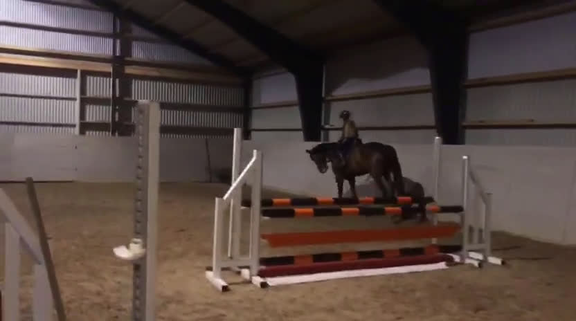 Hoppning hästar till salu: Supersnällt sto med mkt kapacitet i Lidköping - Video 5