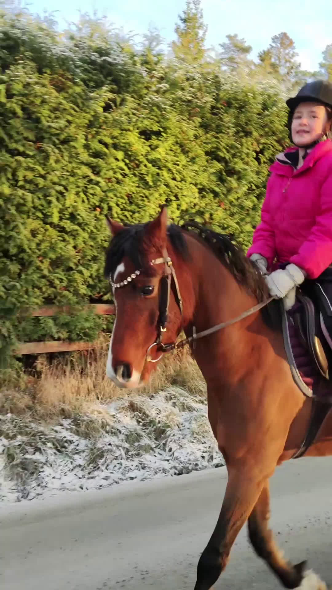 Allround hästar sökes: Ponny köpes! - Video 2