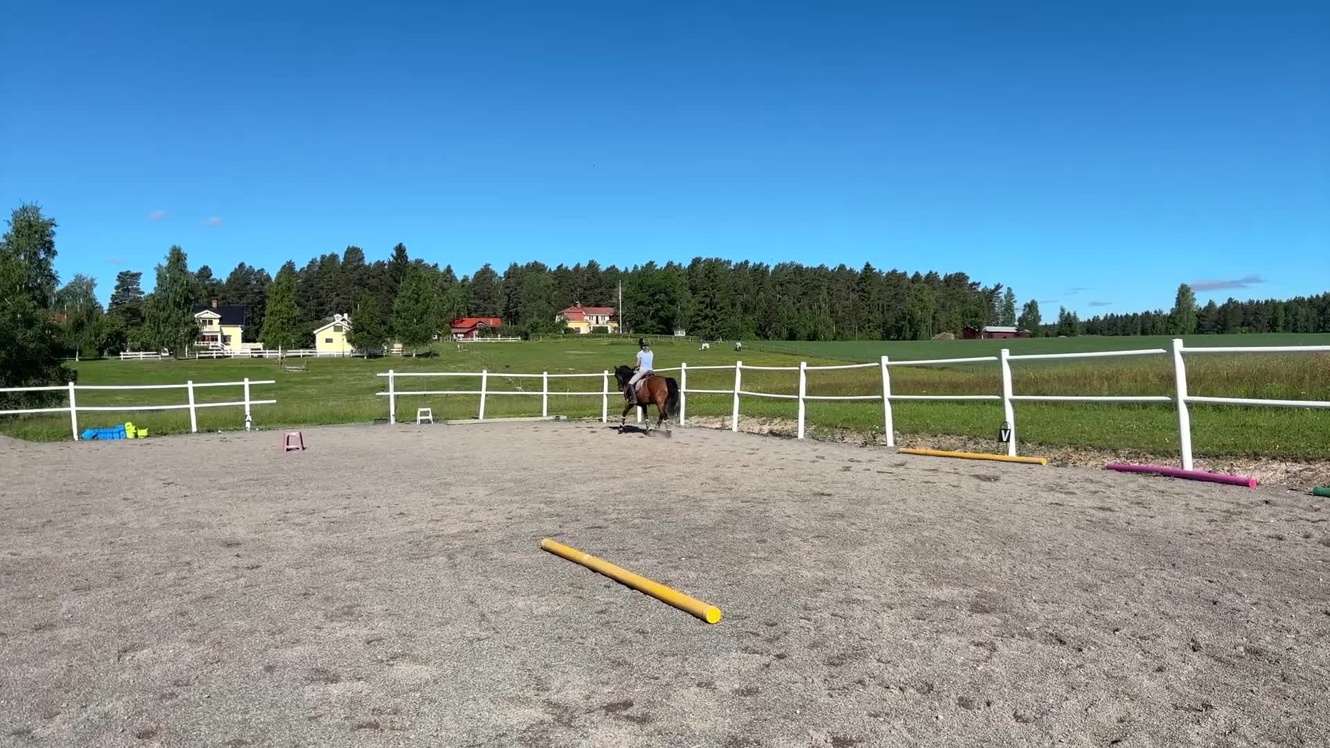 Dressyr hästar till salu: Dressyrponny med utstrålning  - Video 3