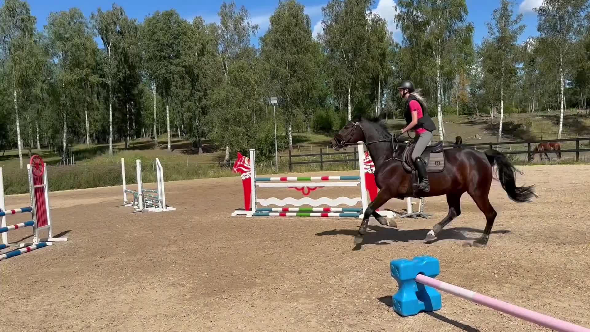 Hoppning hästar till salu: Coolt sto med mycket scope i Täby - Video 1