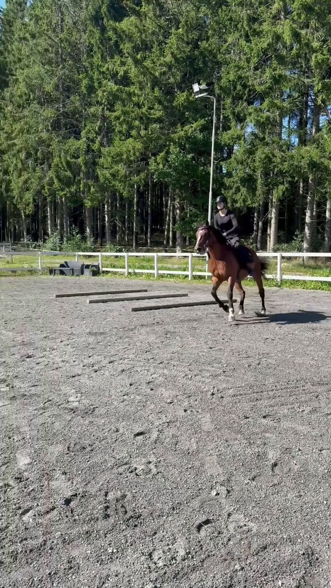 Allround hästar till salu: Intressekoll i Grästorp - Video 3