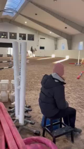 Hoppning hästar till salu: Rutinerad läromästare/ Lyxig kompis - Video 2