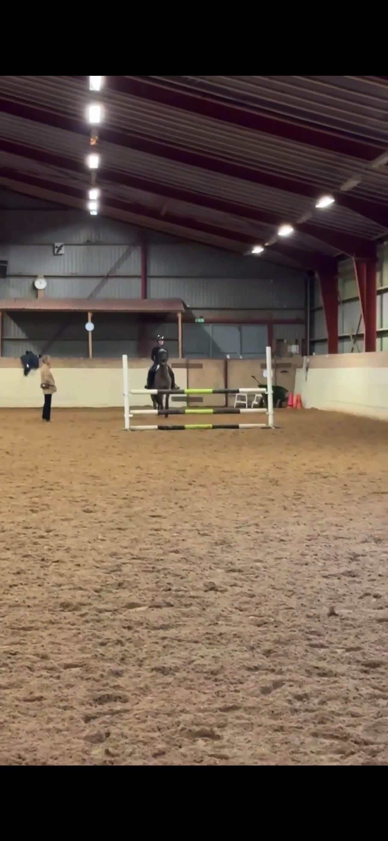 Allround hästar till salu: Världens bästa läromästare  i Lund - Video 5