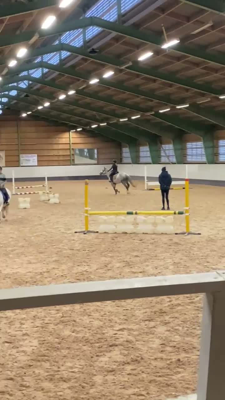 Allround hästar till salu: Trevlig och snäll ponny - Video 1