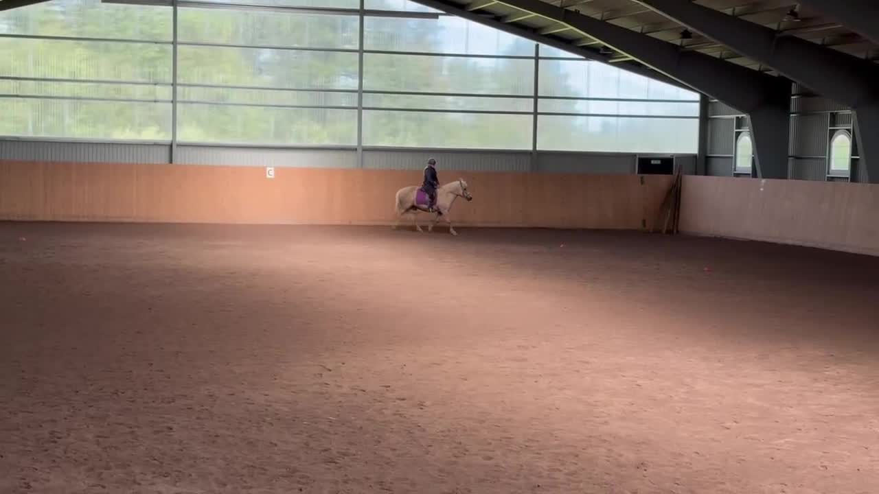  hästjobb finnes: Hästjobb sökes i Falköping - Video 1