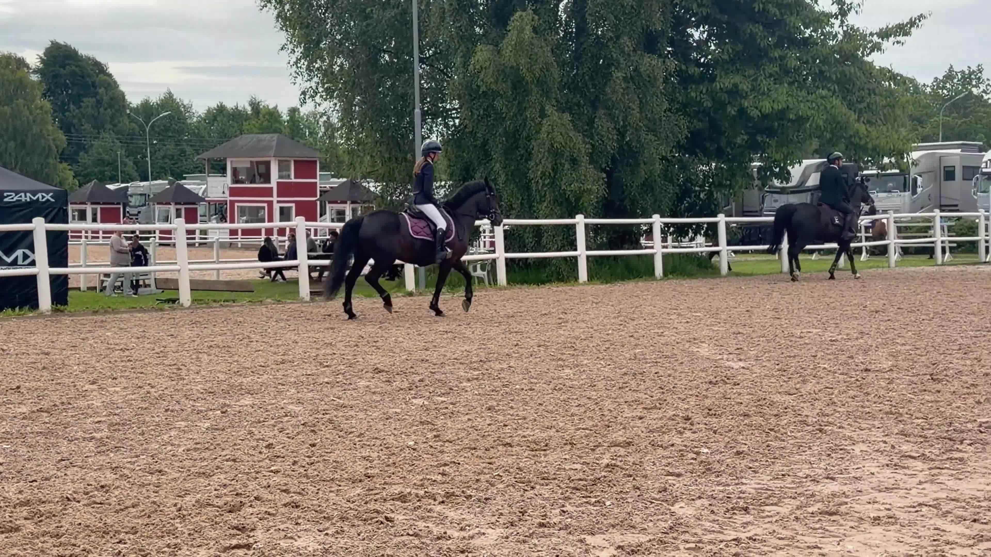 Hoppning hästar till salu: Fantastisk ponny söker sitt nya hem!  - Video 3
