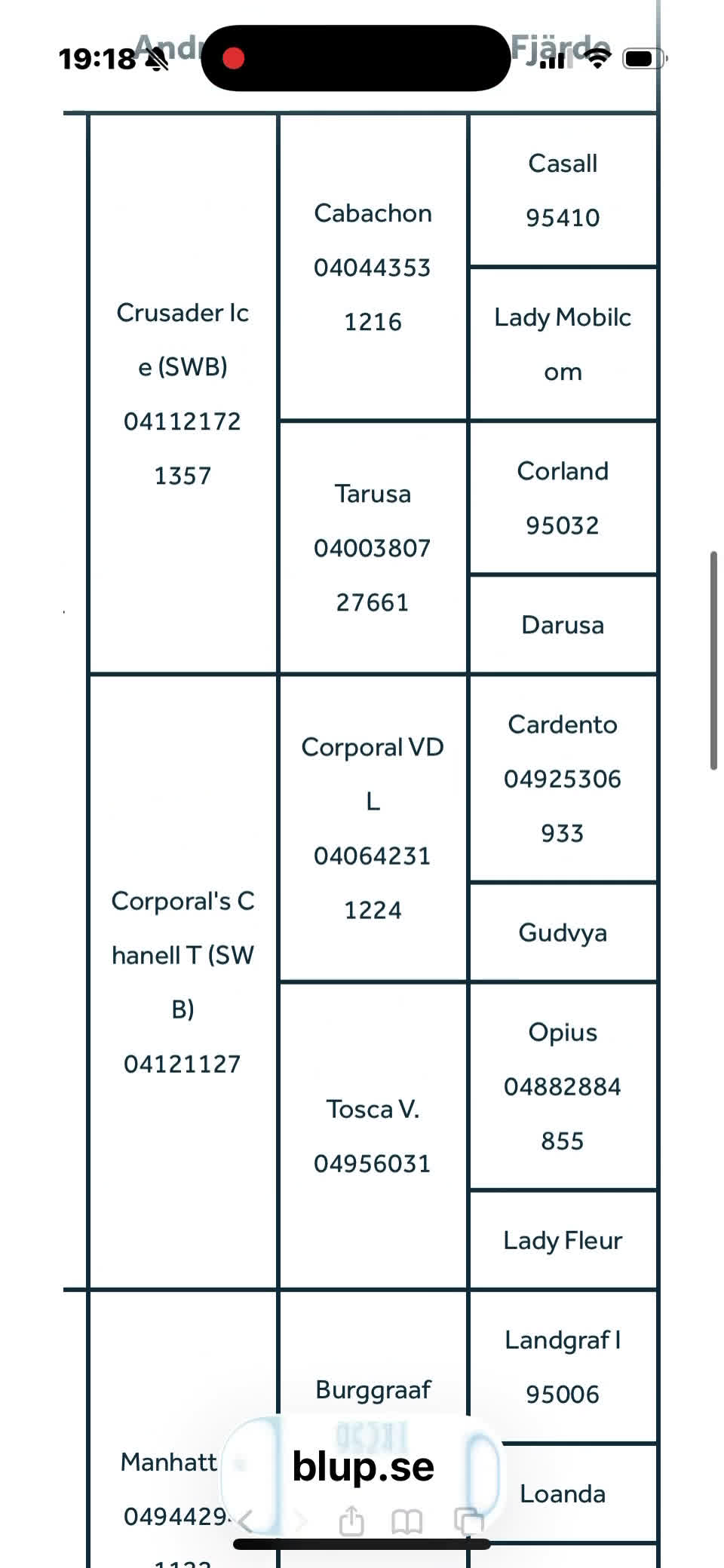 Allround hästar till salu: Häst utöver det vanliga  - Video 1