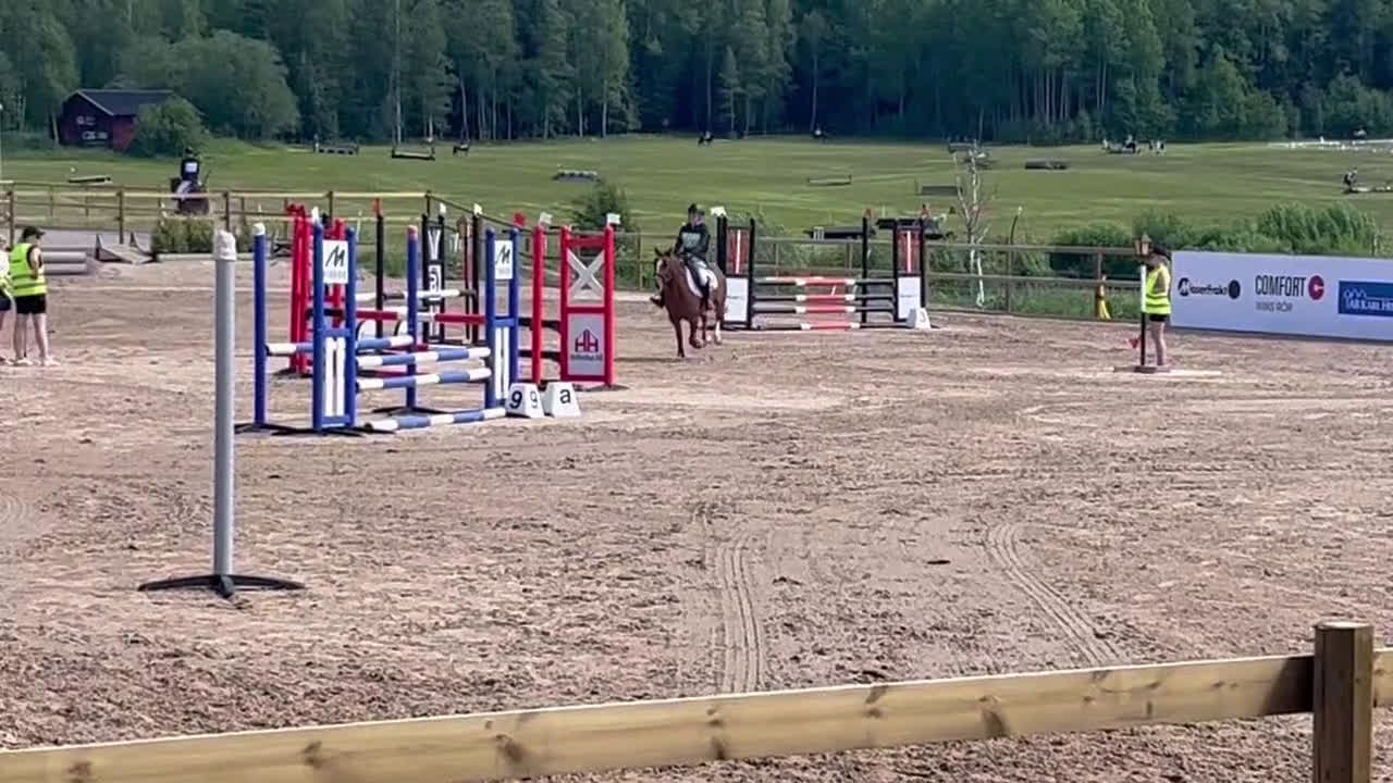 Fälttävlan hästar till salu: En av Sveriges högst rankade b-ponny i fälttävlan i Kumla - Video 2