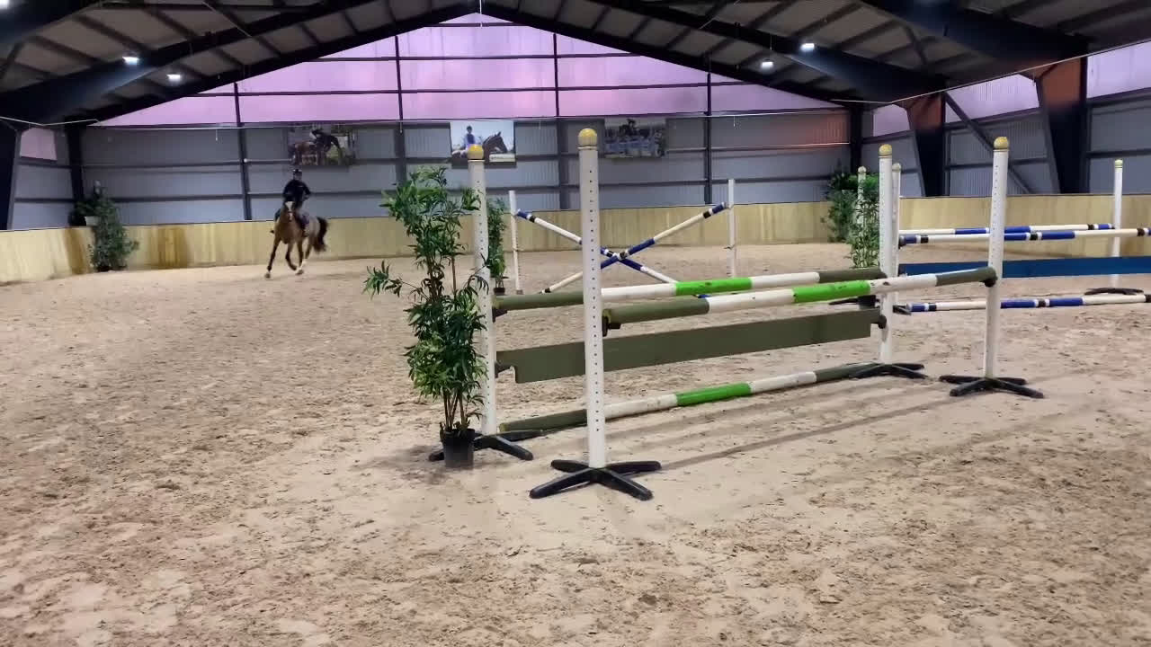 Hoppning hästar till salu: Toppstammad valack i Mjölby - Video 1