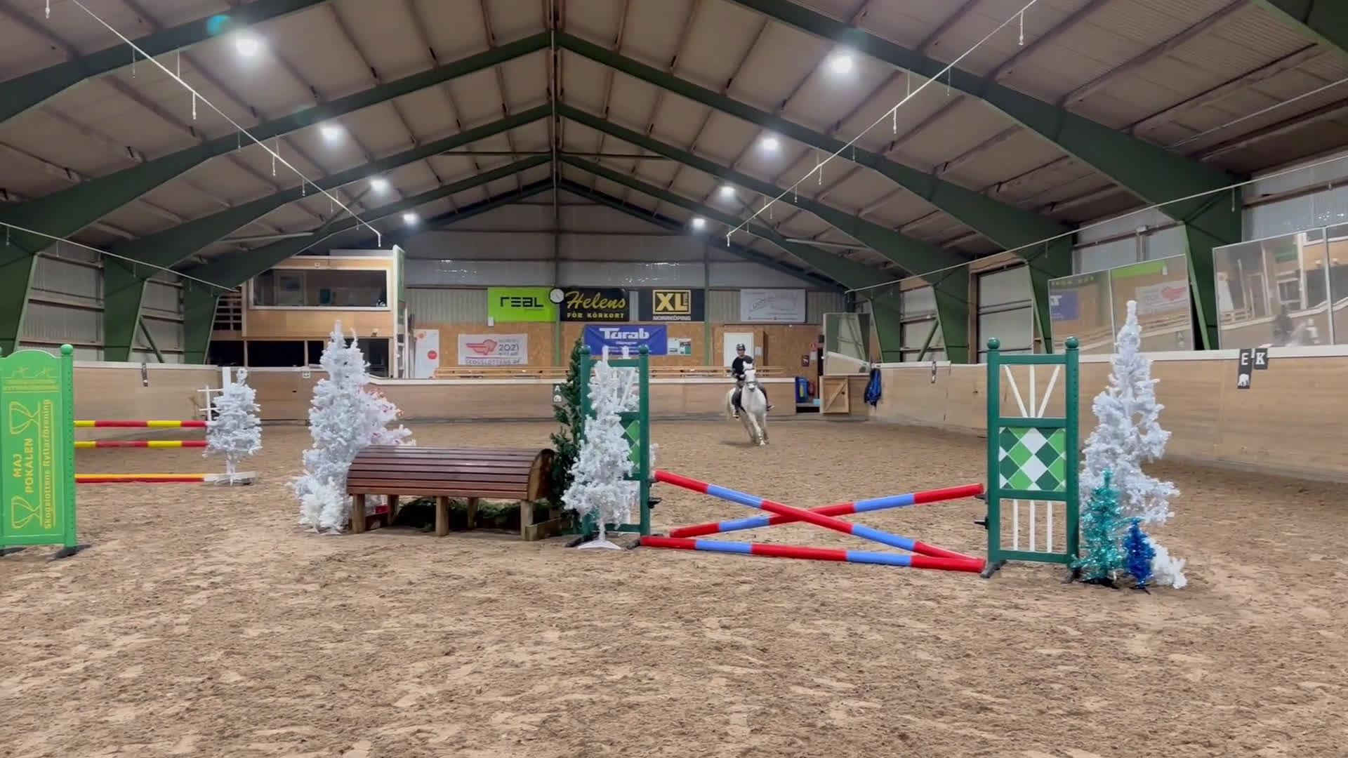 Hoppning hästar till salu: Guldponny  - Video 1