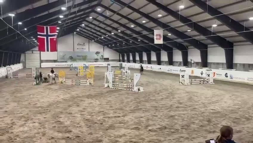 Allround hästar till salu: Kul kat.3 ponni selges i Sandefjord - Video 1