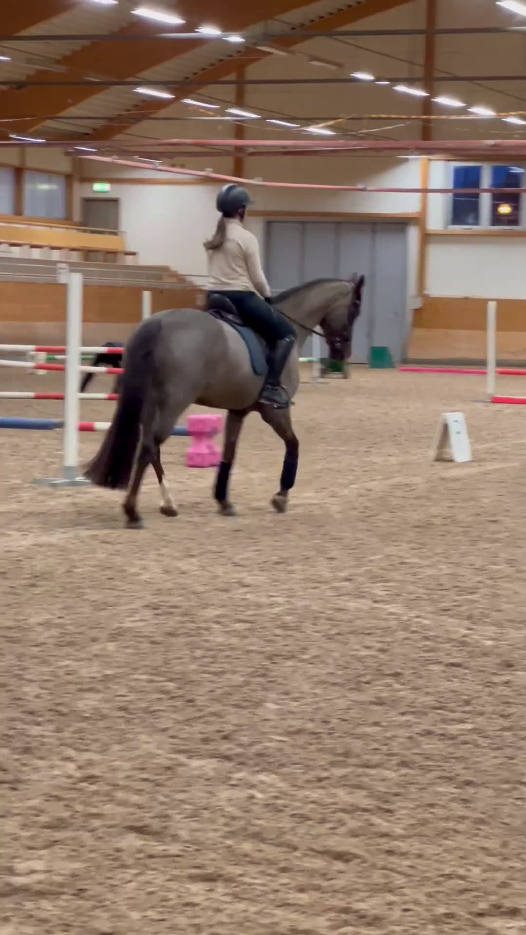 Hoppning hästar till salu: Vackert SWB sto i Sveg - Video 3