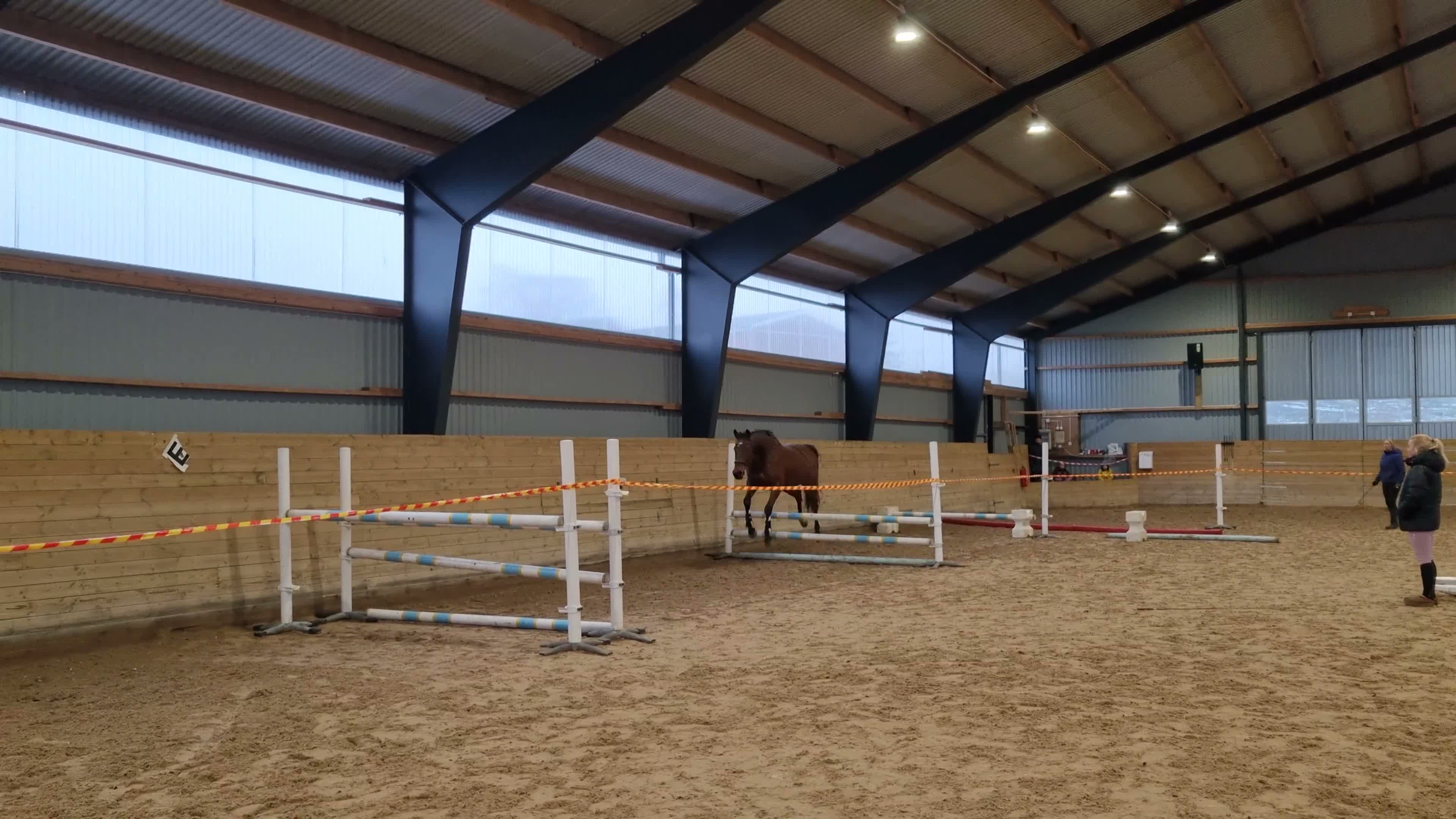 Allround hästar till salu: Allroundtalang med stort hjärta - Video 1