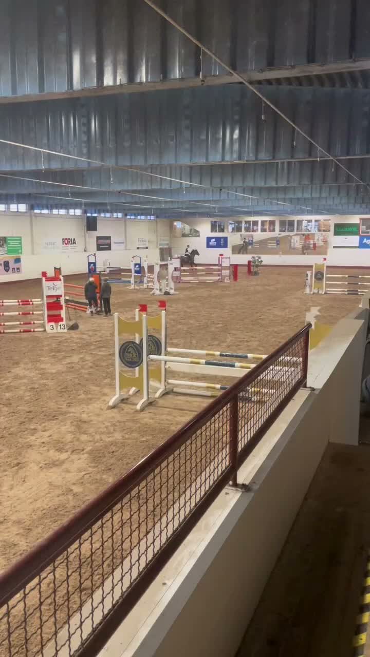 Hoppning hästar till salu: Lyxig läromästare till salu - Video 1