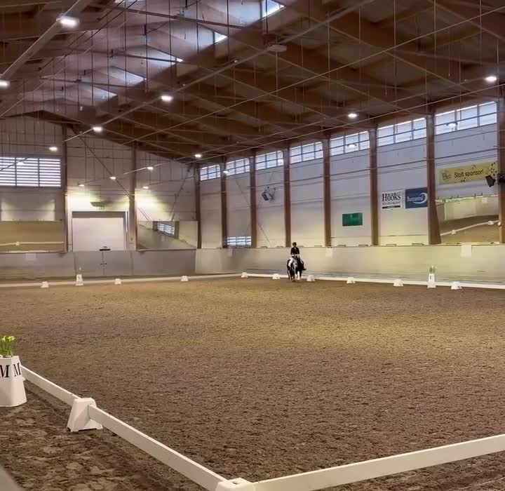 Allround hästar till salu: Bombsäker allroundponny - Video 1