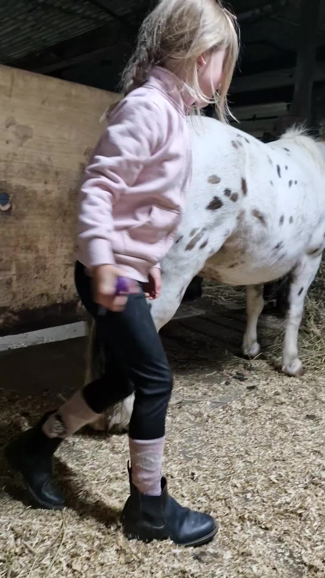 Allround hästar till salu: *Reserverad* Världens gladaste ponny - Video 4