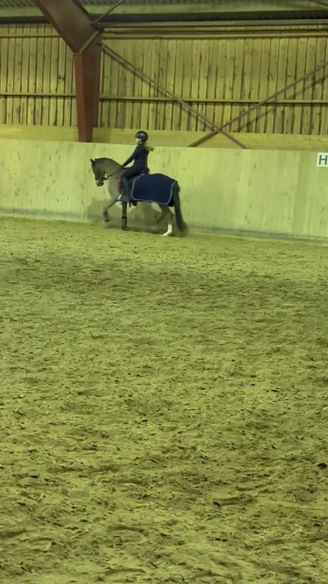 Dressyr hästar till salu: SM ponny med stort ❤️ i Rimbo - Video 3