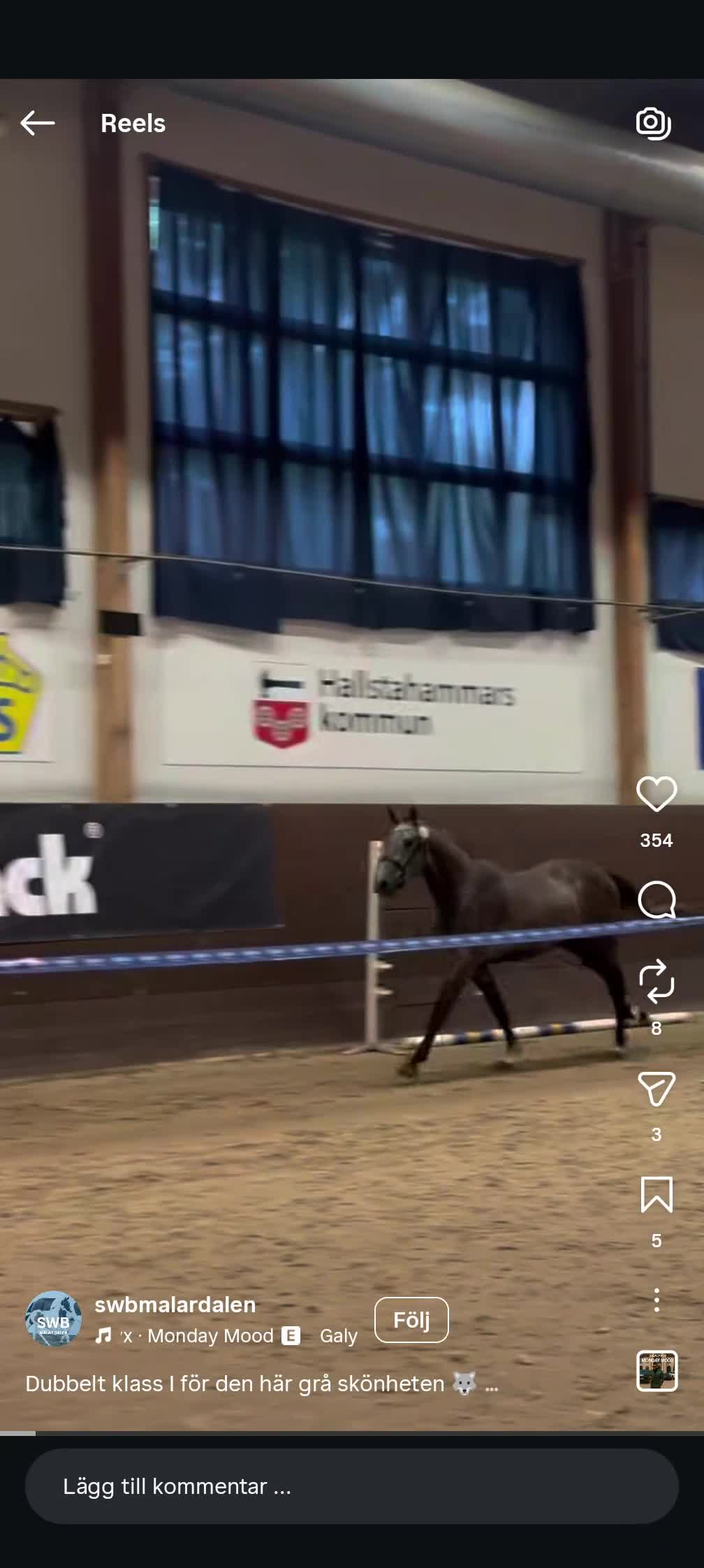 Hoppning hästar till salu: Dubbel klass 1 treårstest - Video 1