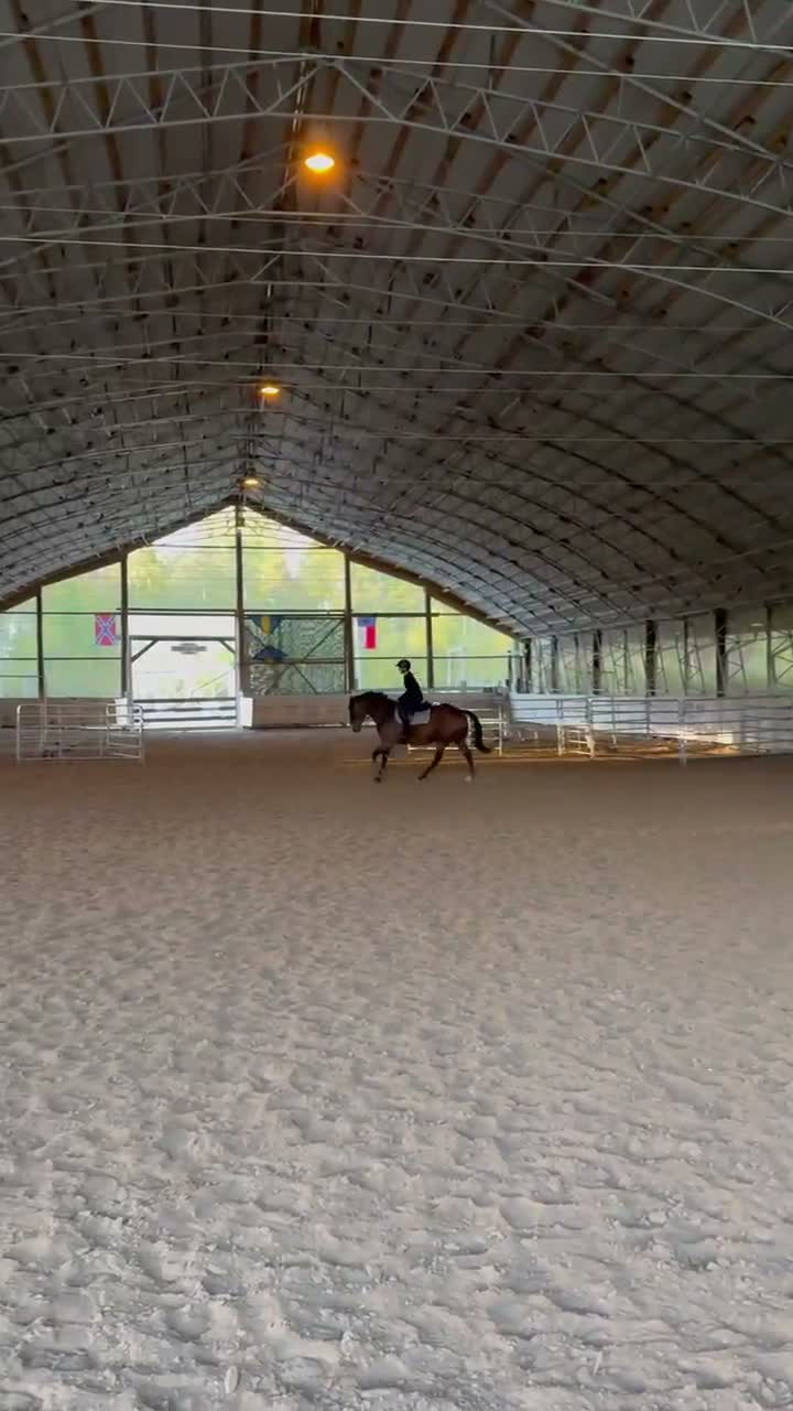 Allround hästar till salu: Bästa kompis 🩵 - Video 3