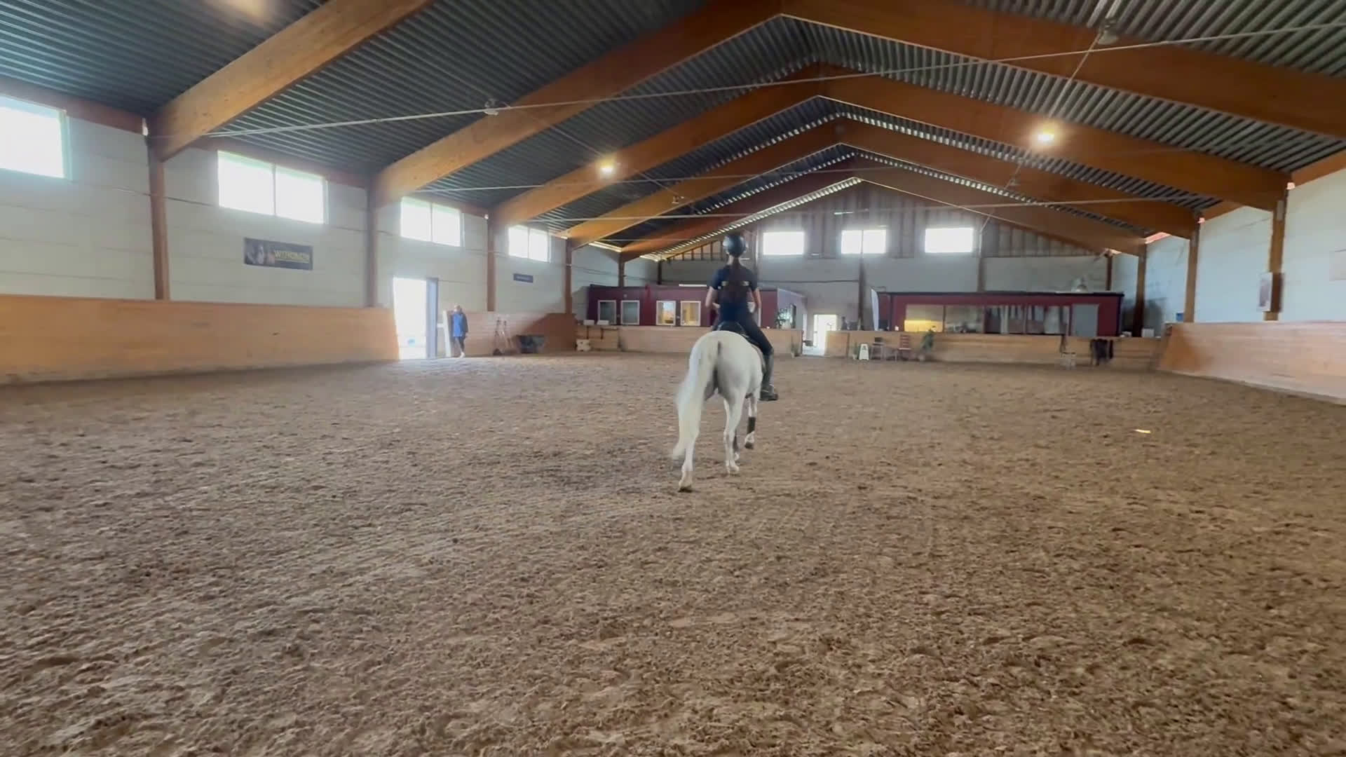 Dressyr hästar till salu: Drömponny för den lilla ryttaren i Norrköping - Video 4