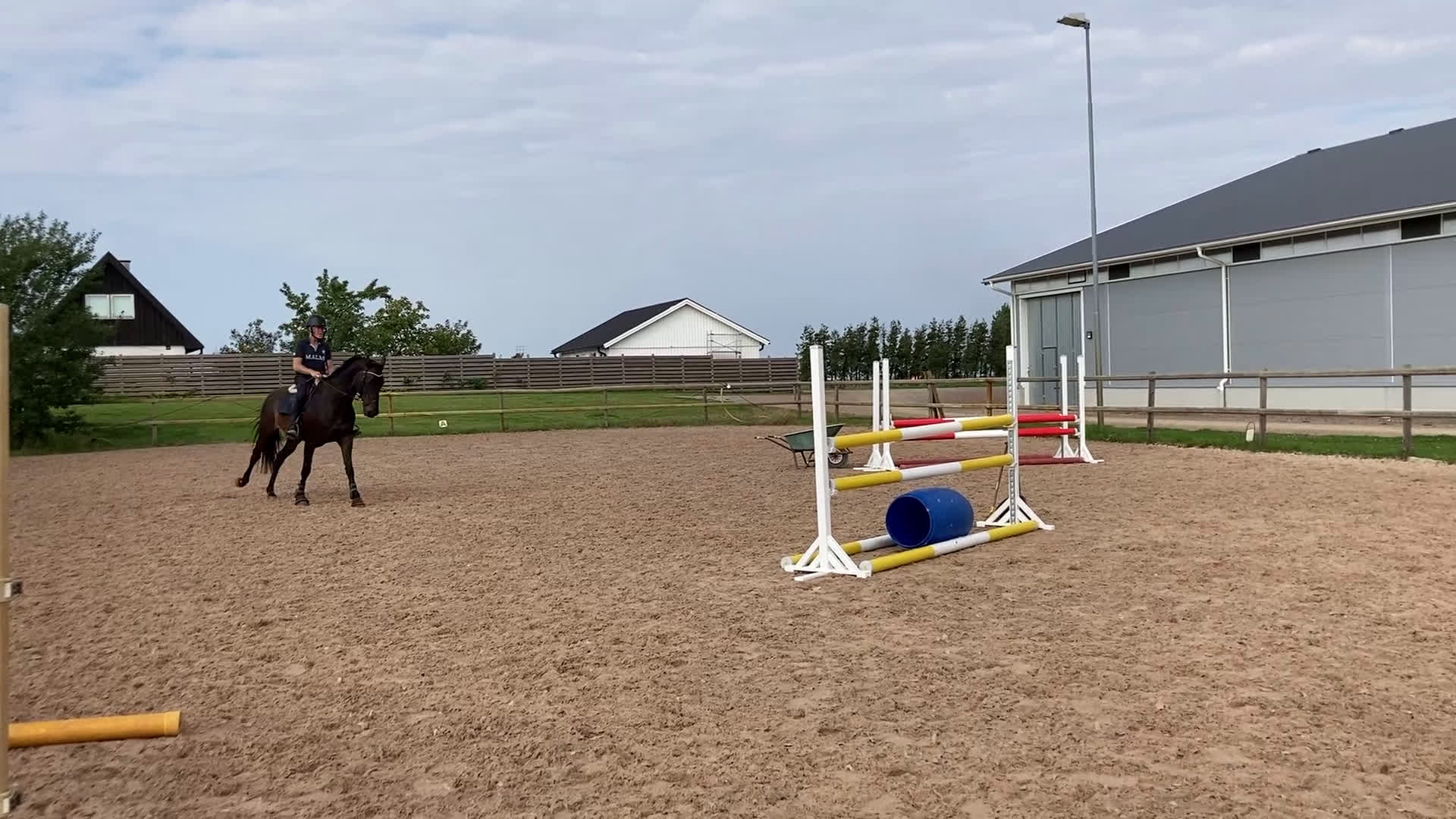 Allround hästar till salu: Fantastisk läromästare i Höör - Video 3