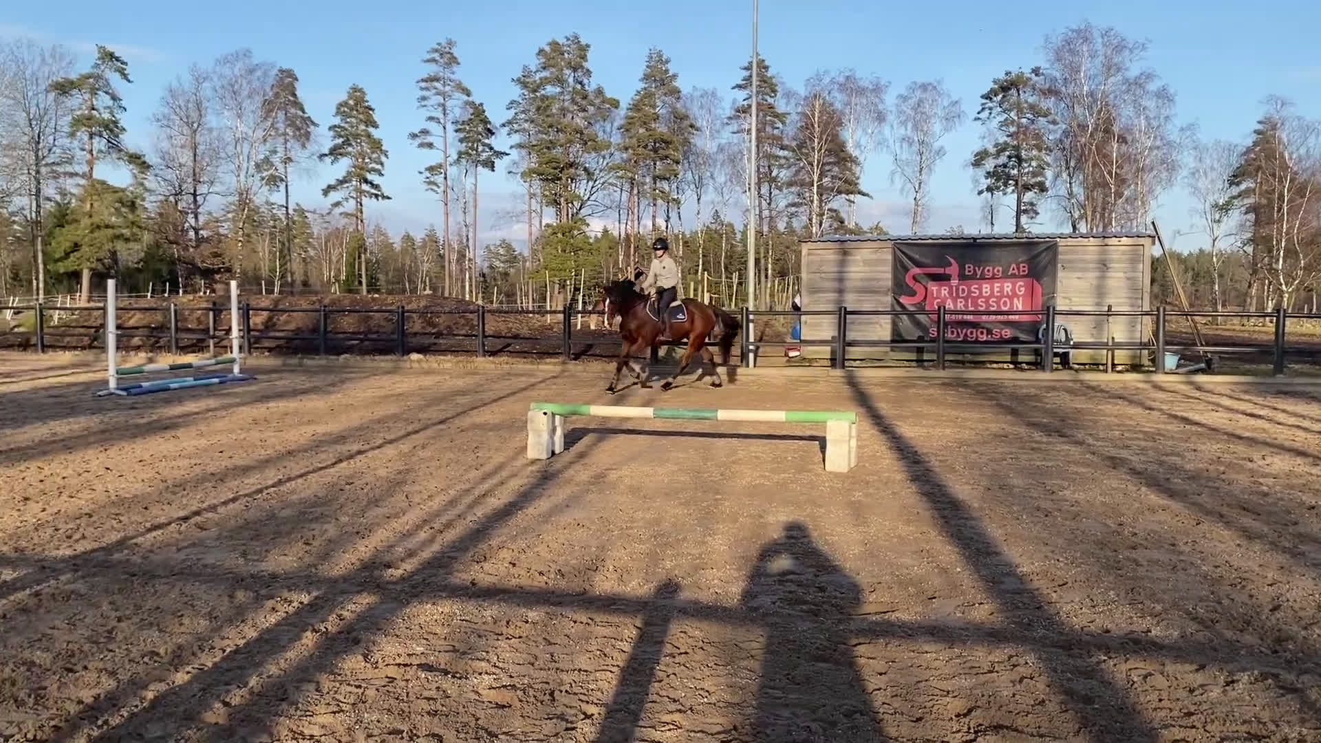 Allround hästar till salu: Personlig d-ponny söker nytt hem i Uddevalla - Video 2